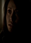 VampireDiariesWorld-dot-org_4x13IntoTheWild1072.jpg