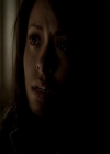 VampireDiariesWorld-dot-org_4x13IntoTheWild1073.jpg