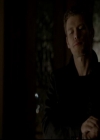 VampireDiariesWorld-dot-org_4x13IntoTheWild1129.jpg