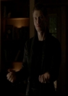 VampireDiariesWorld-dot-org_4x13IntoTheWild1130.jpg