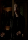 VampireDiariesWorld-dot-org_4x13IntoTheWild1132.jpg