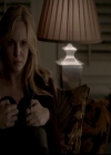 VampireDiariesWorld-dot-org_4x13IntoTheWild1174.jpg