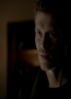 VampireDiariesWorld-dot-org_4x13IntoTheWild1179.jpg