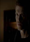 VampireDiariesWorld-dot-org_4x13IntoTheWild1180.jpg