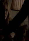 VampireDiariesWorld-dot-org_4x13IntoTheWild1189.jpg