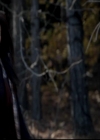 VampireDiariesWorld-dot-org_4x13IntoTheWild1199.jpg