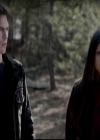 VampireDiariesWorld-dot-org_4x13IntoTheWild1212.jpg