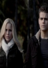 VampireDiariesWorld-dot-org_4x13IntoTheWild1215.jpg