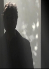 VampireDiariesWorld-dot-org_4x13IntoTheWild1239.jpg