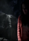 VampireDiariesWorld-dot-org_4x13IntoTheWild1265.jpg