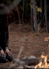 VampireDiariesWorld-dot-org_4x13IntoTheWild1361.jpg