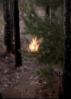 VampireDiariesWorld-dot-org_4x13IntoTheWild1363.jpg