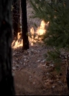 VampireDiariesWorld-dot-org_4x13IntoTheWild1364.jpg