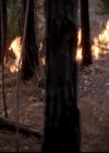 VampireDiariesWorld-dot-org_4x13IntoTheWild1365.jpg