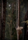 VampireDiariesWorld-dot-org_4x13IntoTheWild1366.jpg