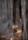 VampireDiariesWorld-dot-org_4x13IntoTheWild1368.jpg