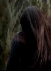 VampireDiariesWorld-dot-org_4x13IntoTheWild1375.jpg