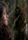 VampireDiariesWorld-dot-org_4x13IntoTheWild1380.jpg