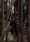 VampireDiariesWorld-dot-org_4x13IntoTheWild1389.jpg