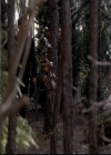 VampireDiariesWorld-dot-org_4x13IntoTheWild1390.jpg