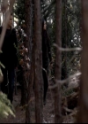 VampireDiariesWorld-dot-org_4x13IntoTheWild1391.jpg