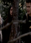 VampireDiariesWorld-dot-org_4x13IntoTheWild1395.jpg