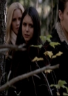 VampireDiariesWorld-dot-org_4x13IntoTheWild1399.jpg