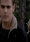 VampireDiariesWorld-dot-org_4x13IntoTheWild1403.jpg