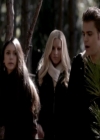 VampireDiariesWorld-dot-org_4x13IntoTheWild1405.jpg