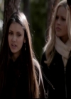 VampireDiariesWorld-dot-org_4x13IntoTheWild1413.jpg