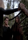 VampireDiariesWorld-dot-org_4x13IntoTheWild1432.jpg