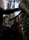 VampireDiariesWorld-dot-org_4x13IntoTheWild1433.jpg