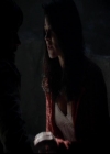 VampireDiariesWorld-dot-org_4x13IntoTheWild1500.jpg