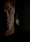 VampireDiariesWorld-dot-org_4x13IntoTheWild1560.jpg