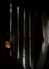 VampireDiariesWorld-dot-org_4x13IntoTheWild1561.jpg