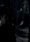 VampireDiariesWorld-dot-org_4x13IntoTheWild2299.jpg