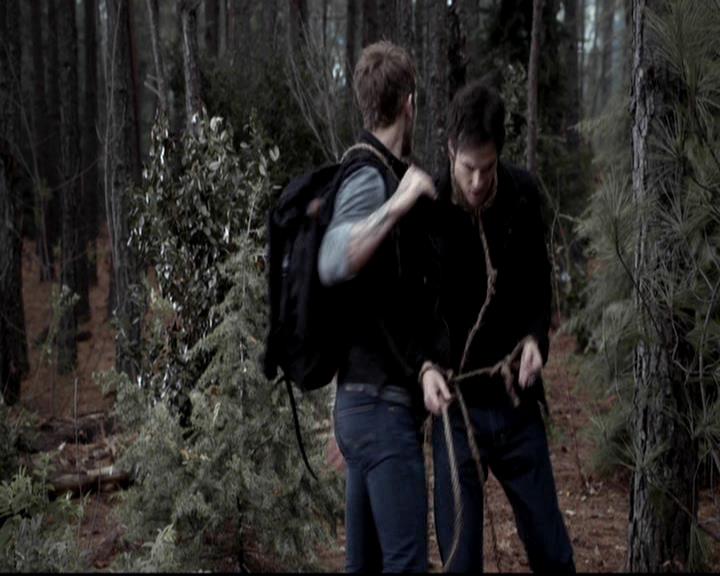 VampireDiariesWorld-dot-org_4x14DownTheRabbitHole0853.jpg