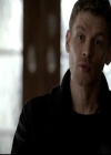 VampireDiariesWorld-dot-org_4x14DownTheRabbitHole0407.jpg