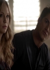 VampireDiariesWorld-dot-org_4x14DownTheRabbitHole0575.jpg