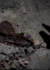 VampireDiariesWorld-dot-org_4x14DownTheRabbitHole0710.jpg