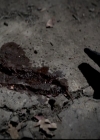 VampireDiariesWorld-dot-org_4x14DownTheRabbitHole0711.jpg