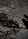 VampireDiariesWorld-dot-org_4x14DownTheRabbitHole0712.jpg