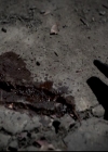 VampireDiariesWorld-dot-org_4x14DownTheRabbitHole0713.jpg