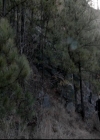 VampireDiariesWorld-dot-org_4x14DownTheRabbitHole0924.jpg