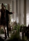 VampireDiariesWorld-dot-org_4x14DownTheRabbitHole1250.jpg