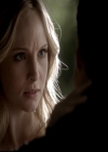 VampireDiariesWorld-dot-org_4x14DownTheRabbitHole1282.jpg