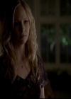 VampireDiariesWorld-dot-org_4x14DownTheRabbitHole1490.jpg