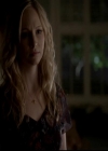 VampireDiariesWorld-dot-org_4x14DownTheRabbitHole1491.jpg