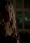 VampireDiariesWorld-dot-org_4x14DownTheRabbitHole1500.jpg