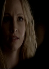 VampireDiariesWorld-dot-org_4x14DownTheRabbitHole1519.jpg